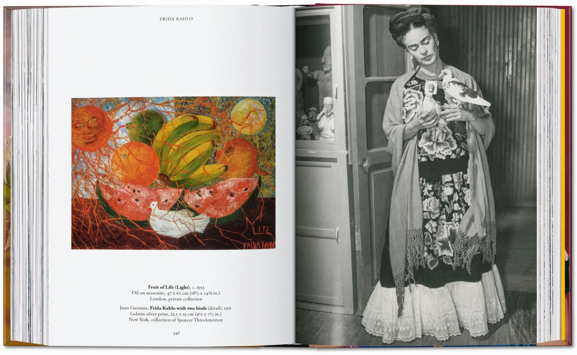 Boek Frida Kahlo 40th Ed.