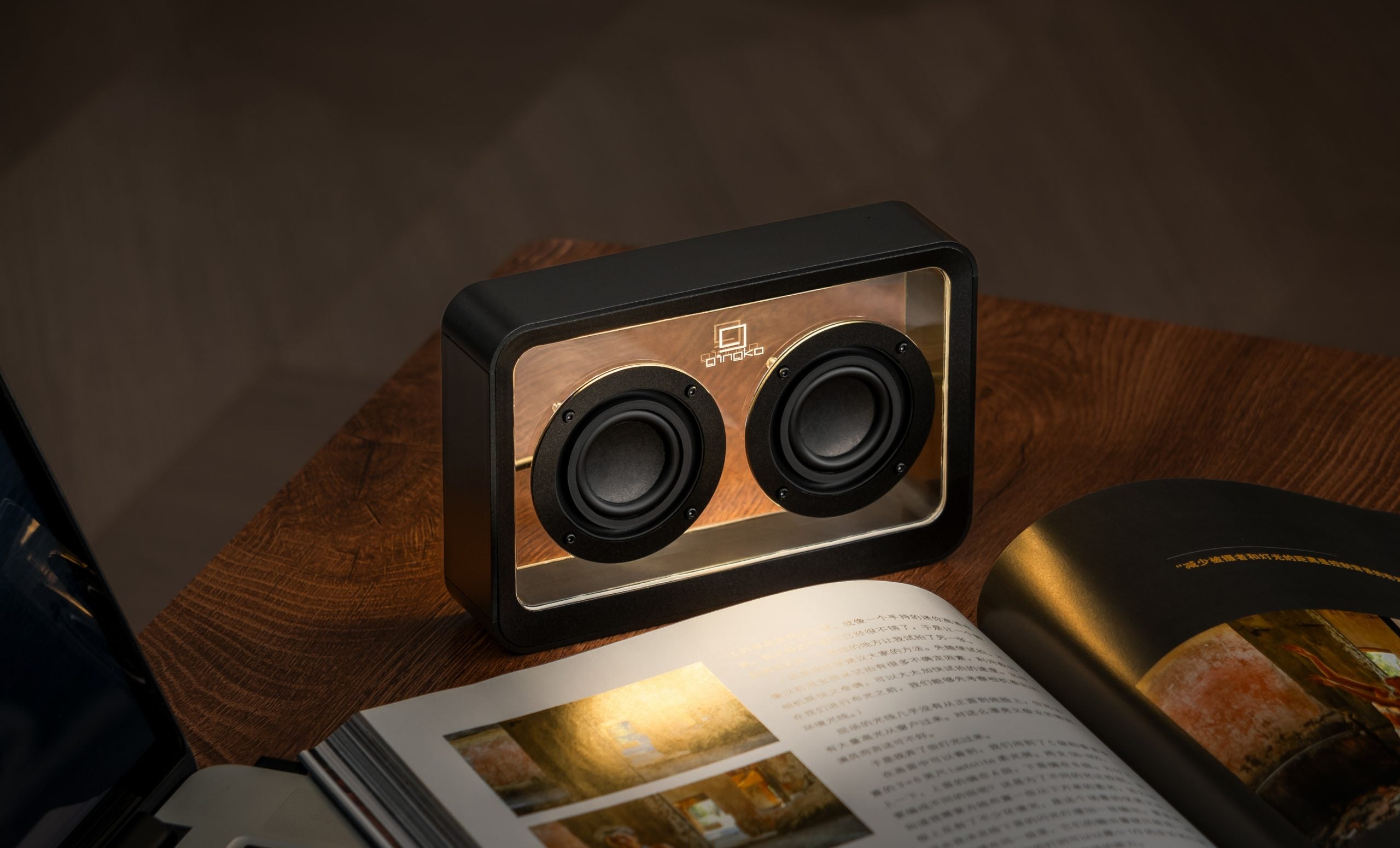 Speaker Gingko Mage See-Through Bluetooth Black