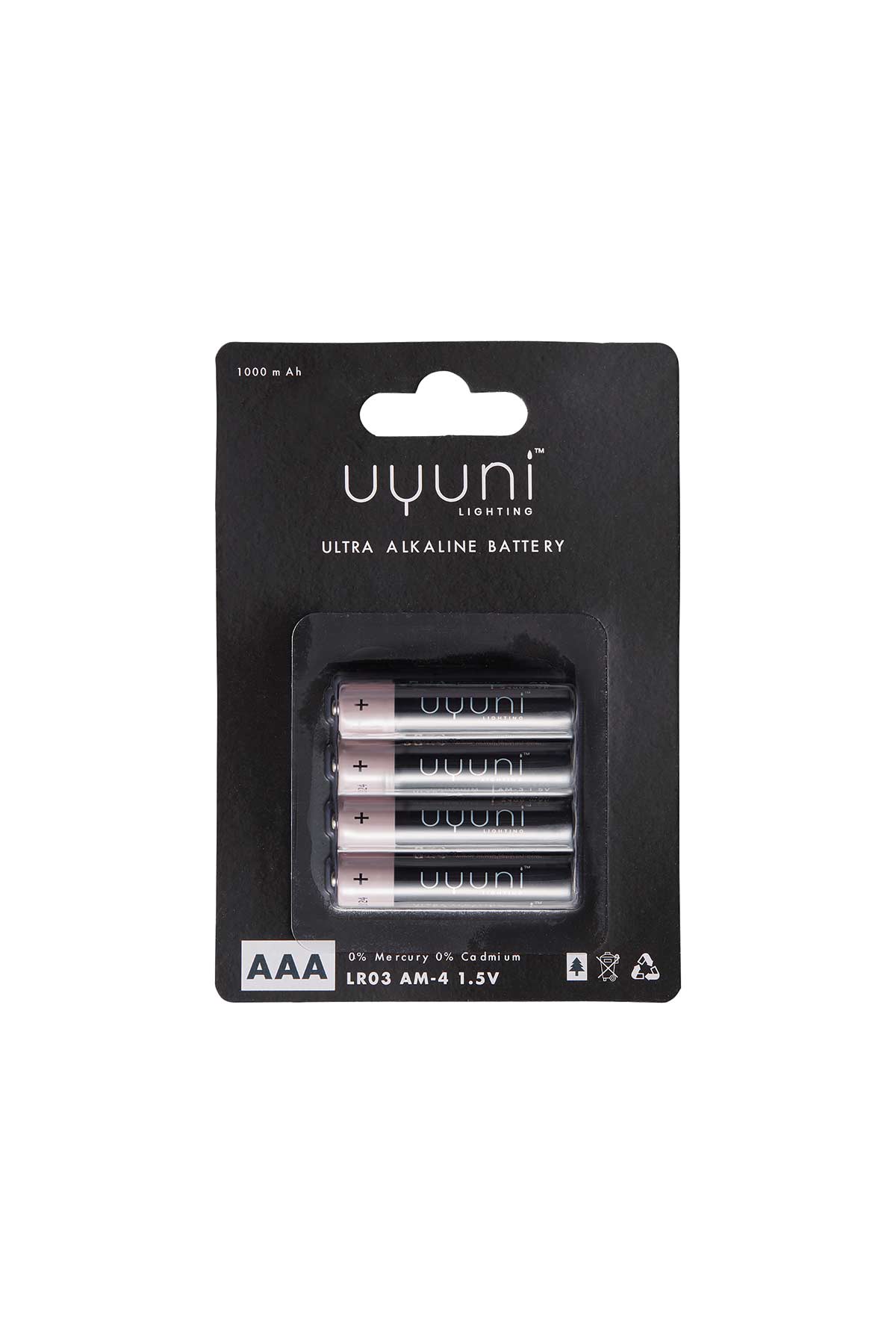 Batterij Uyuni AAA Set 4